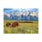 Steve Hinch - Grand Teton National Park, Wyoming, USA: 1000 Pcs